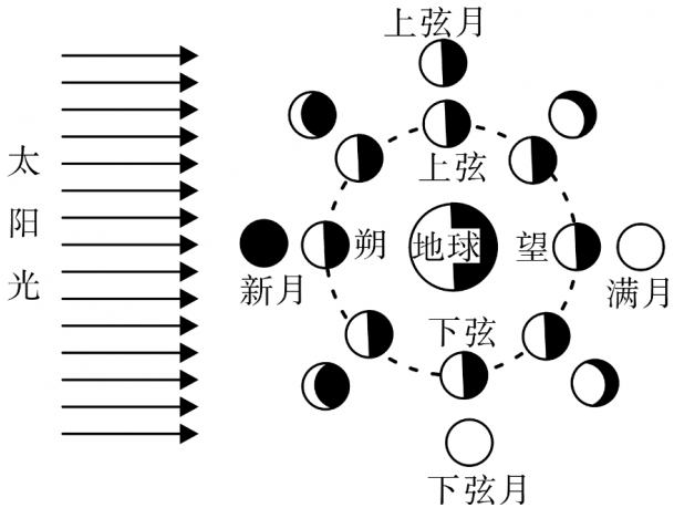 “人有悲欢离合，月有阴晴圆缺”，圆缺就是指“月相变化”，即地球上看到月球被太阳照亮部分的称呼。图中所 