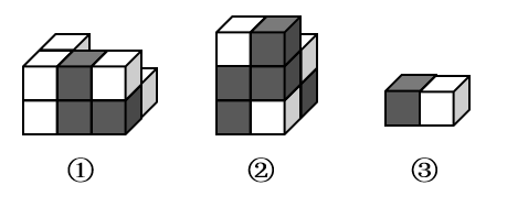 如图所示，下列物体均由纯黑色和纯白色的小立方体组成。则物体①与物体②中，（  