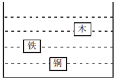 一个容器中装满了水，三个体积相同的铁块、铜块和木块均浸没在水中（如图），下列选项中正确的是： 