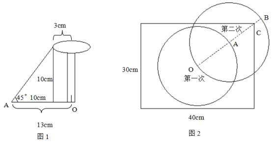 一个孢子（即蘑菇种子）落在铺上营养土的长方形花盆（长40厘米，宽30厘米）中央，吸收土壤营养并开始生 