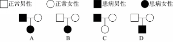X染色体显性遗传病是由于位于X染色体上的显性致病基因引起的疾病，则以下遗传图谱中，最有可能显示X染色 