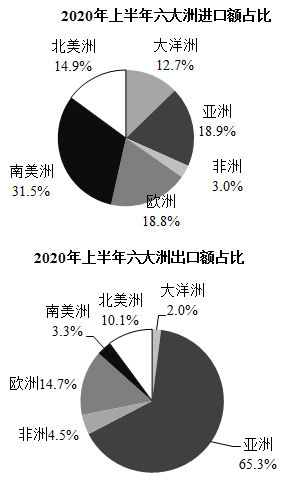 2020年上半年，我国农产品进出口额同比增长约： 