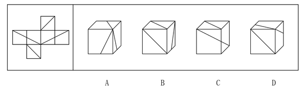 左边给定的是纸盒外表面，下列哪一项能由它折叠而成？【2020四川上060】 