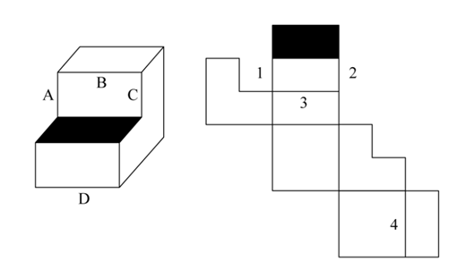 下图为给定的多面体及其外表面展开图，问字母A、B、C、D和数字1、2、3、4代表的棱的对应关系为：【 