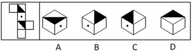 右边的盒子不能由左边给定的图形做成的一个是：【2009广东073】 