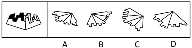 下列选项中，（）折叠后可以与所给图形结合在一起，成为一个整体。【2009上海064】 