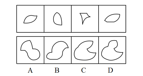 下边四个图形中，只有一个是由上边的四个图形拼合（只能通过上、下、左、右平移）而成的，请把它找出来。【 