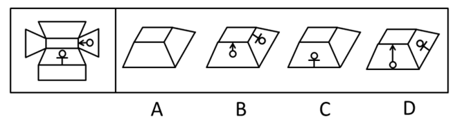 左边给定的是纸盒的外表面展开图，右边哪一项能由它折叠而成？【2008江苏B088】 