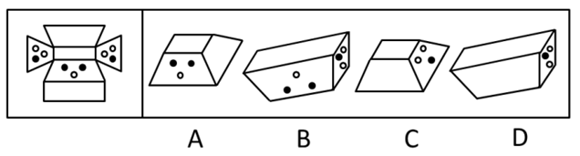 左边给定的是纸盒的外表面展开图，右边哪一项能由它折叠而成？【2008江苏B090】 
