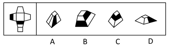 左边给定的是六面体的外表面展开图，右边哪一项能由它折叠而成？【2008江苏B093】 