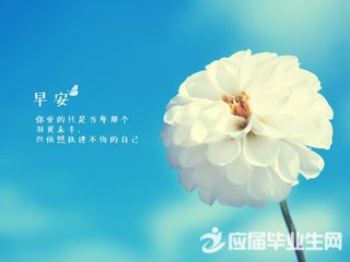 2017新年早安心语唯美语录 第1张