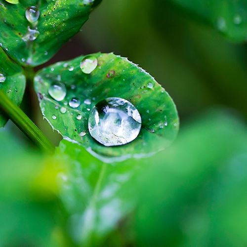 形容登高望远所感慨的诗句 登高望远霸气诗词 第1张