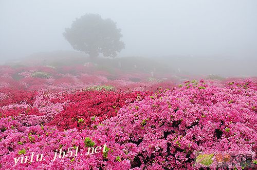 吃货发朋友圈的句子 晒美食的幽默说说 第1张