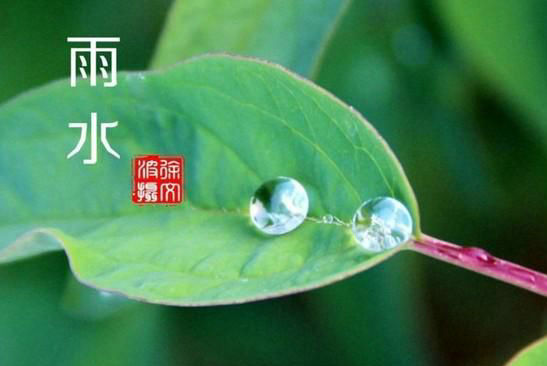 形容雨水的句子 第1张