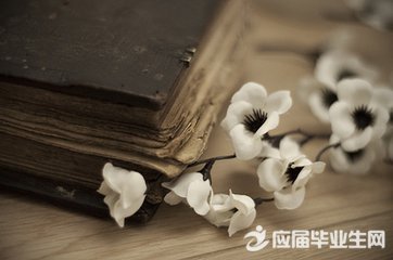 关于工作的优美句子 赞美辛苦工作的句子 第1张