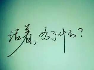 交通安全口号八个字 第1张