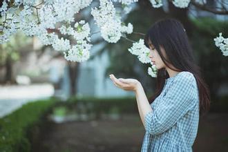 家常菜菜馆广告语 第1张